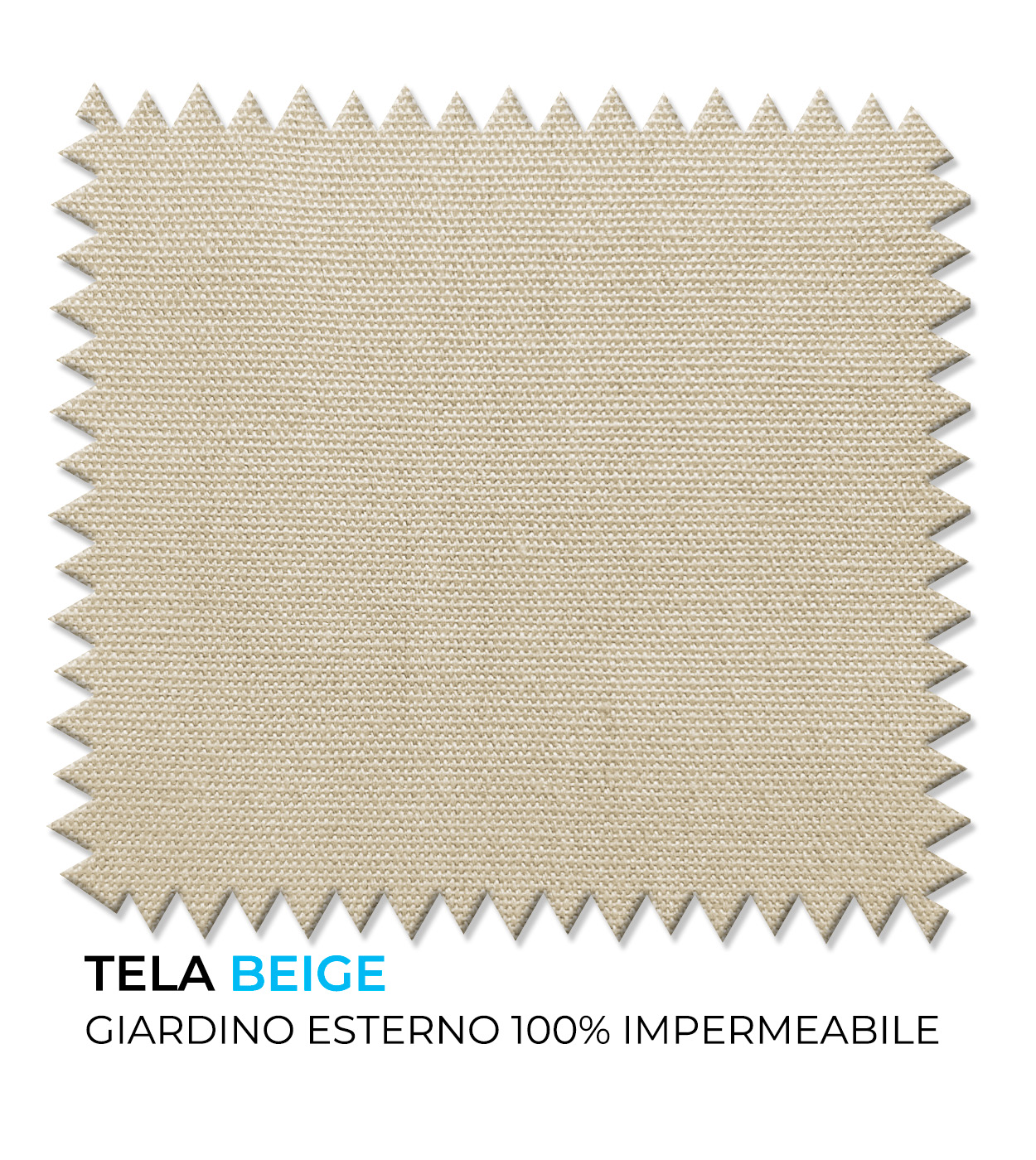 LONETA BEIGE Italiano.jpg