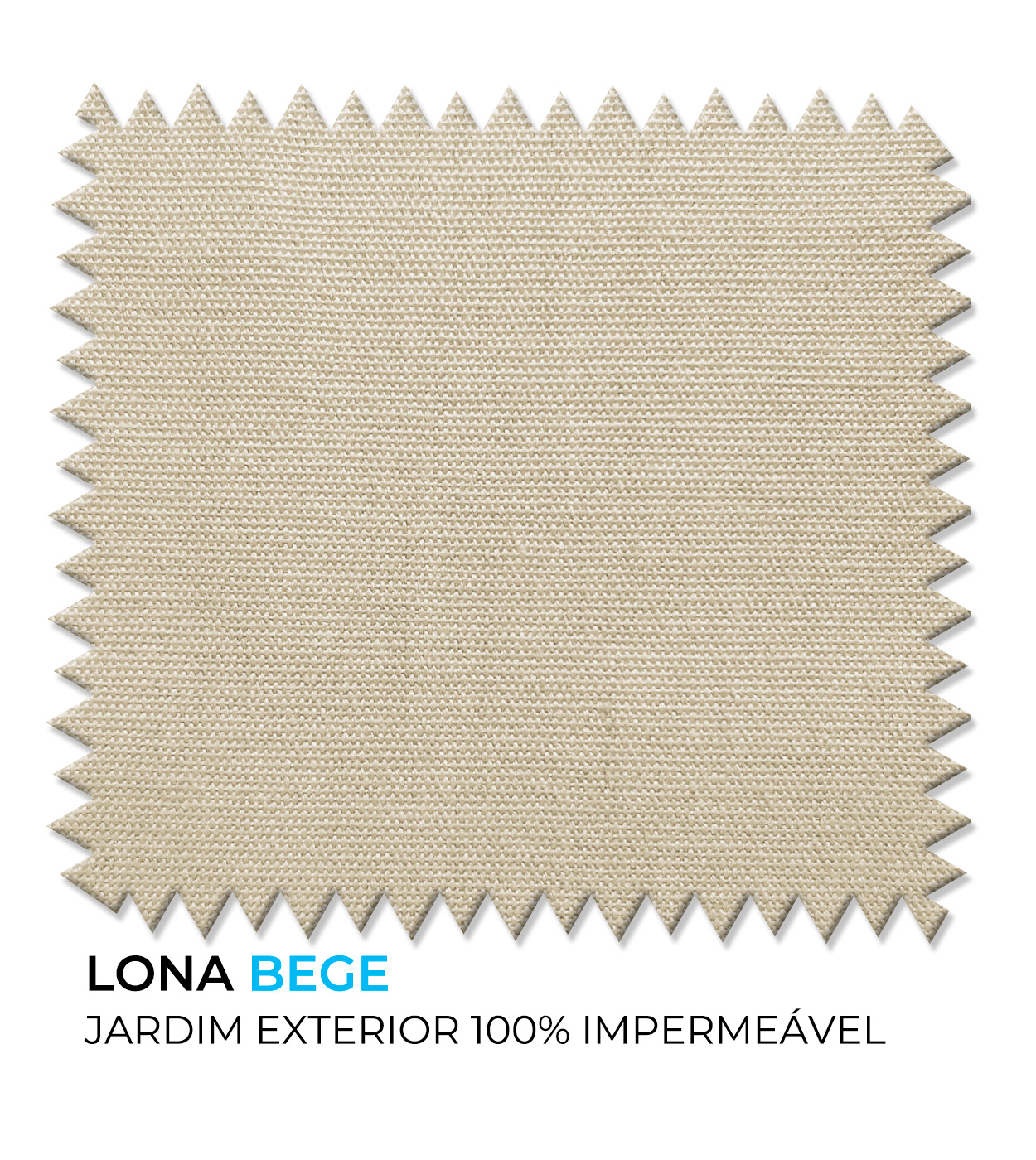 LONETA BEIGE portugués.jpg